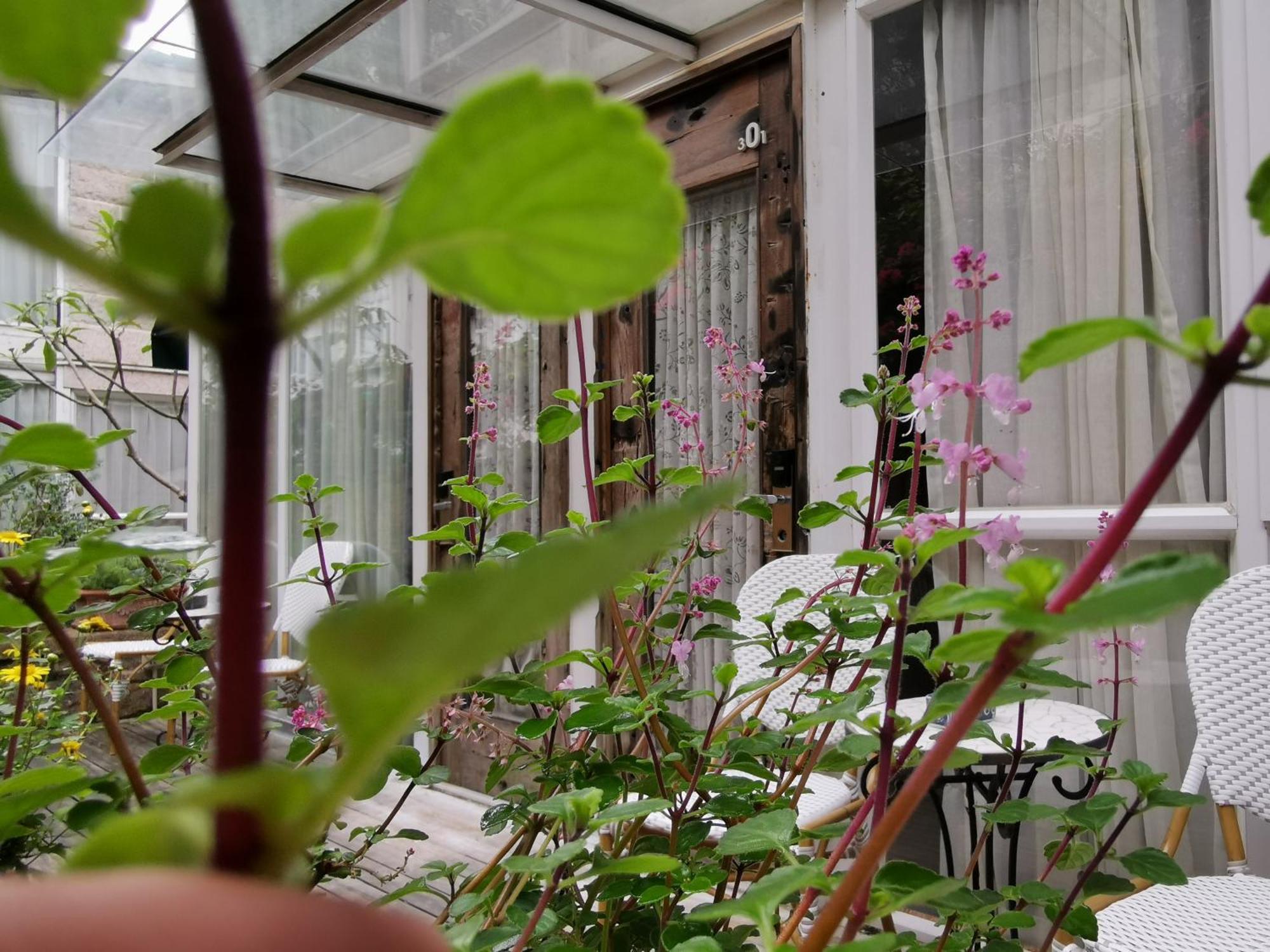 Shenzhen No'6 Garden Villa --French Window With Garden View,Close To Sea World &Shekou Ferry Port &K11 Ecoast &Subway Nearby ,Offer Western Food And Coffee &English Speaking With Tour Services Dış mekan fotoğraf
